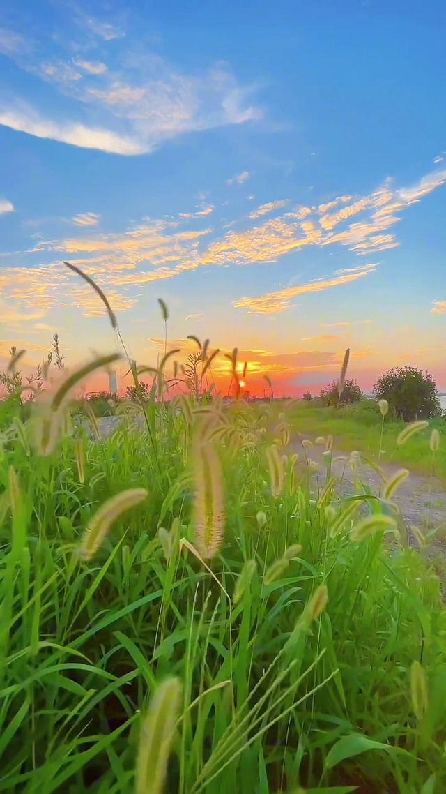 夕阳下的风景