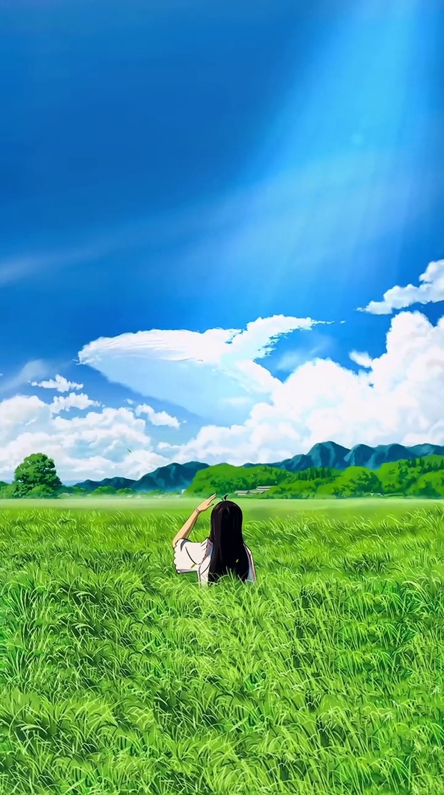 4k高清夏天来了