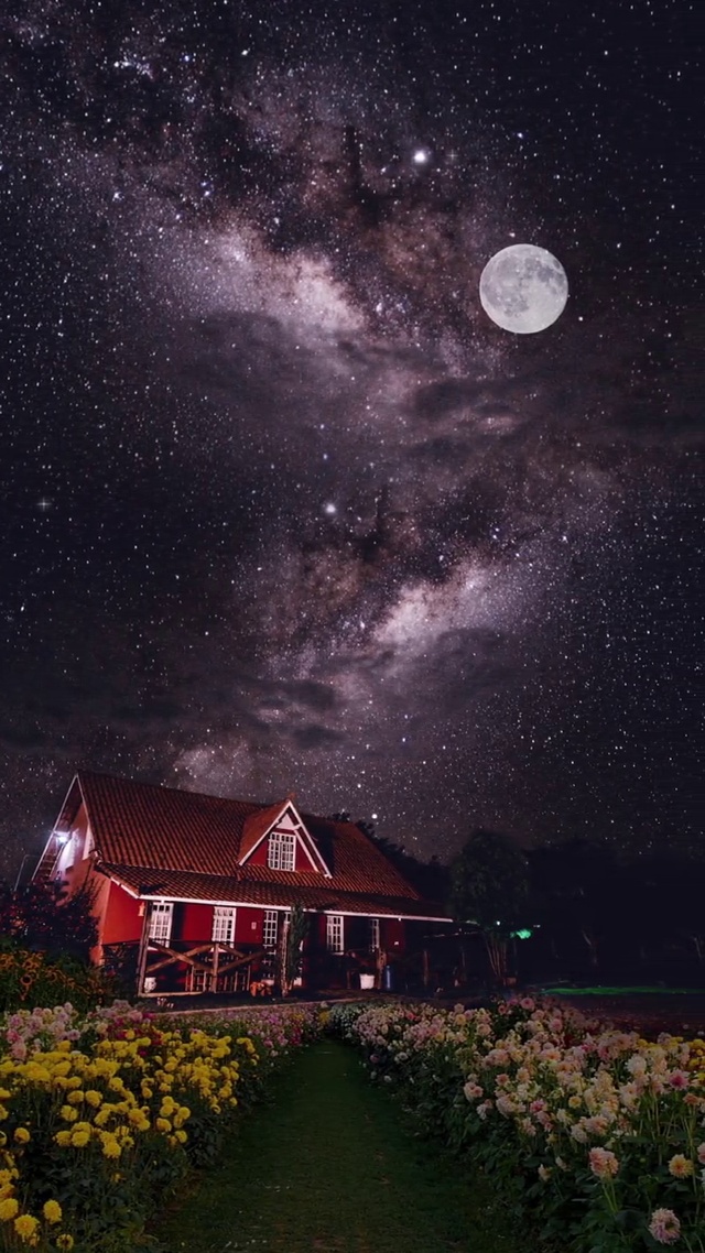 目有所望，心有所想，但愿日子不愁，抬头满眼皆是温柔。
