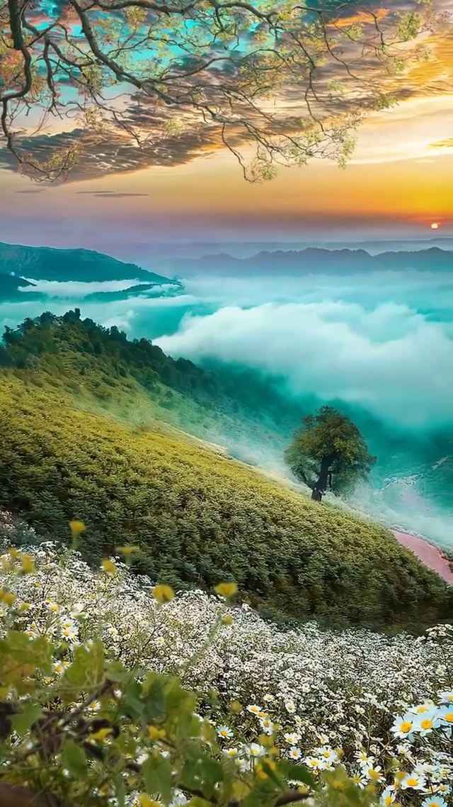 落日归沧海，山海藏深意。