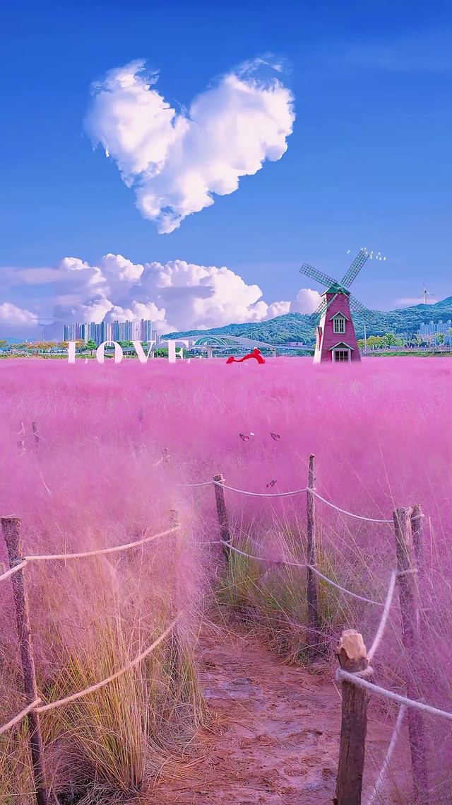 @境遇之景：粉黛乱子草