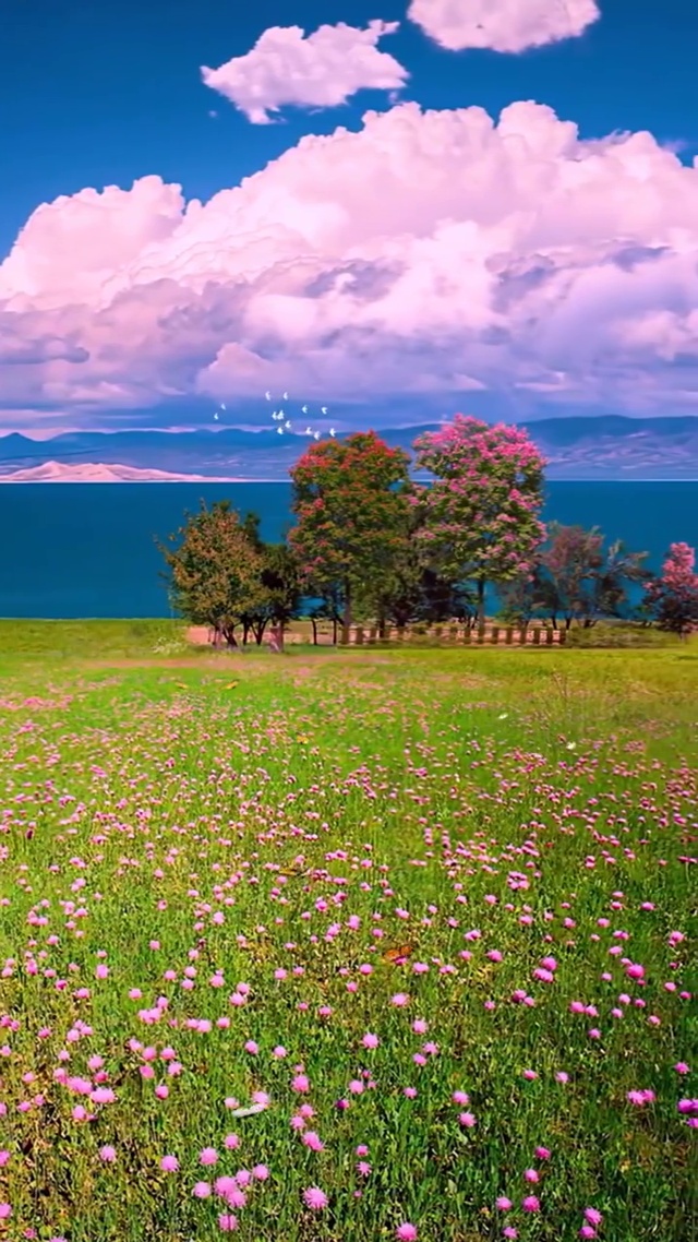遇见最好的礼物