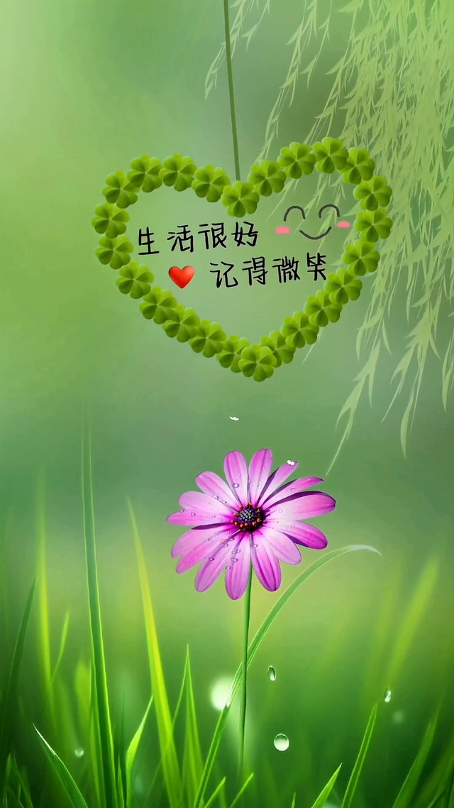 生活很好 记得微笑
