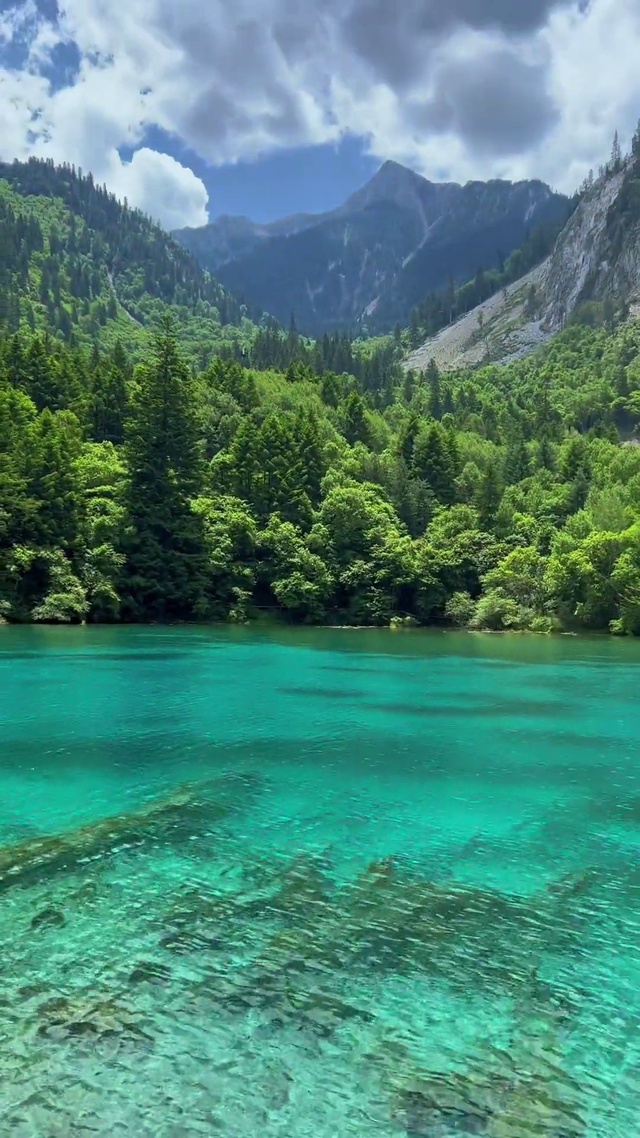 青山绿水