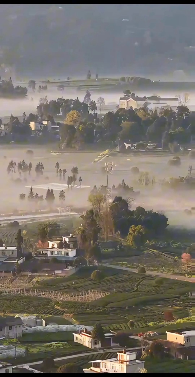 春天的三月晨雾、茶田、高铁同框，一镜收尽