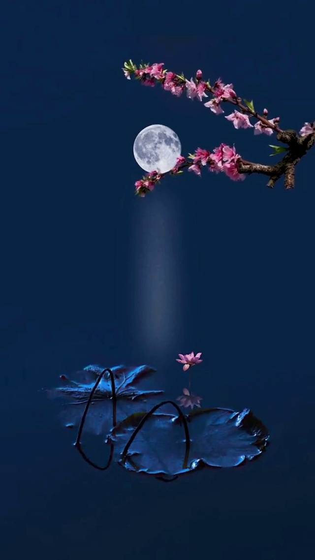月上梅梢