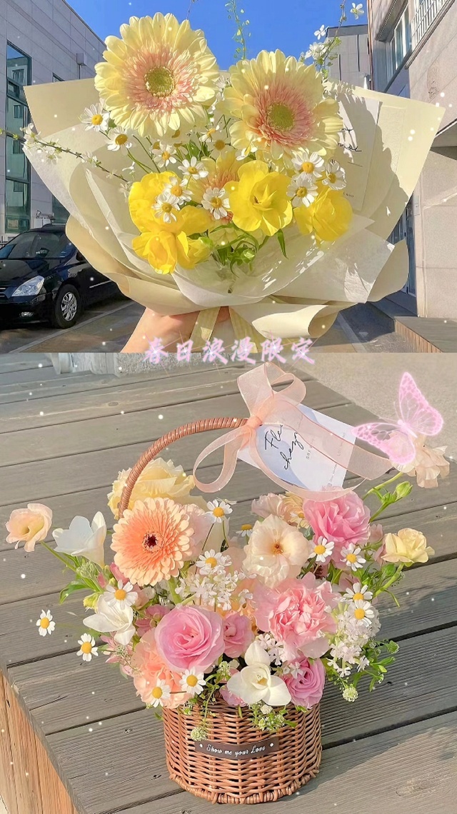 春日浪漫限定🌸