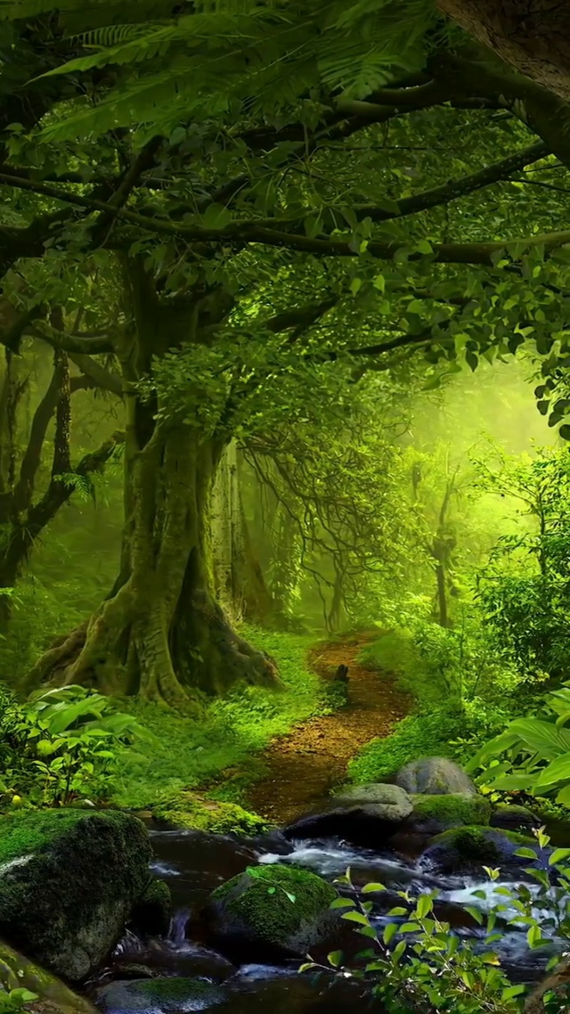 山清水秀，鸟语花香