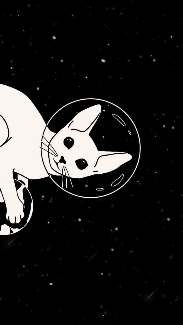 太空猫