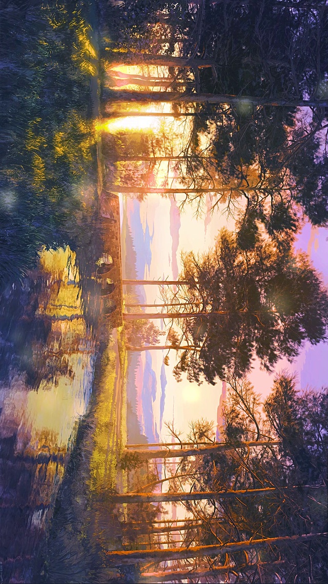 林间清晨（搬运）