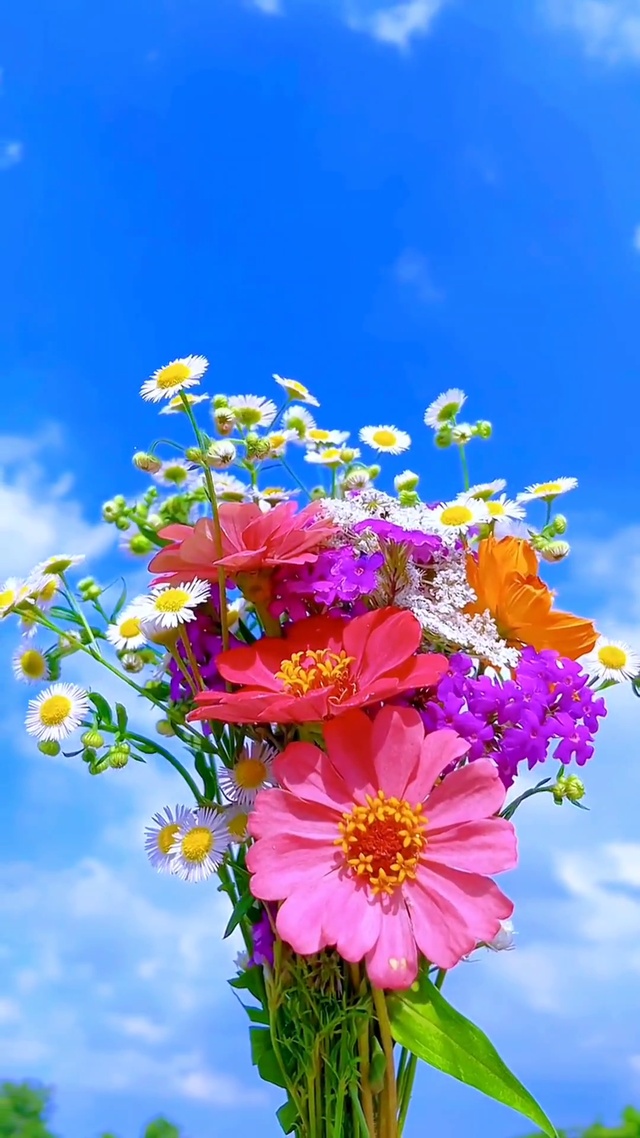 八月好运已开启