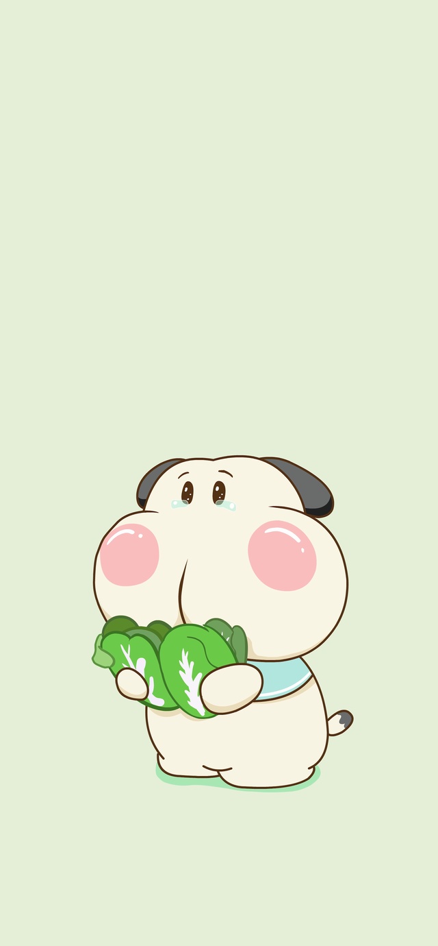 菜狗（调皮呆哥）