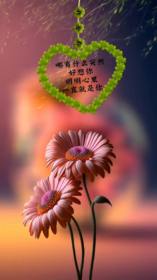 心里一直就是你