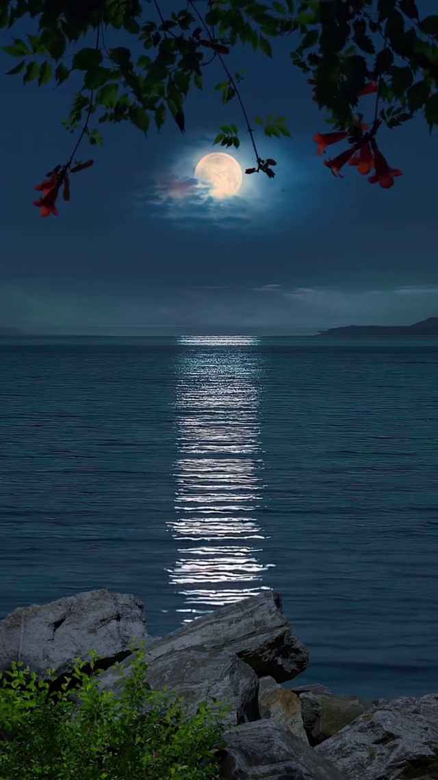 青云伴月入水流，影长如绸风中舞。夜色朦胧 花枝俏，涛声依旧绕耳盈。