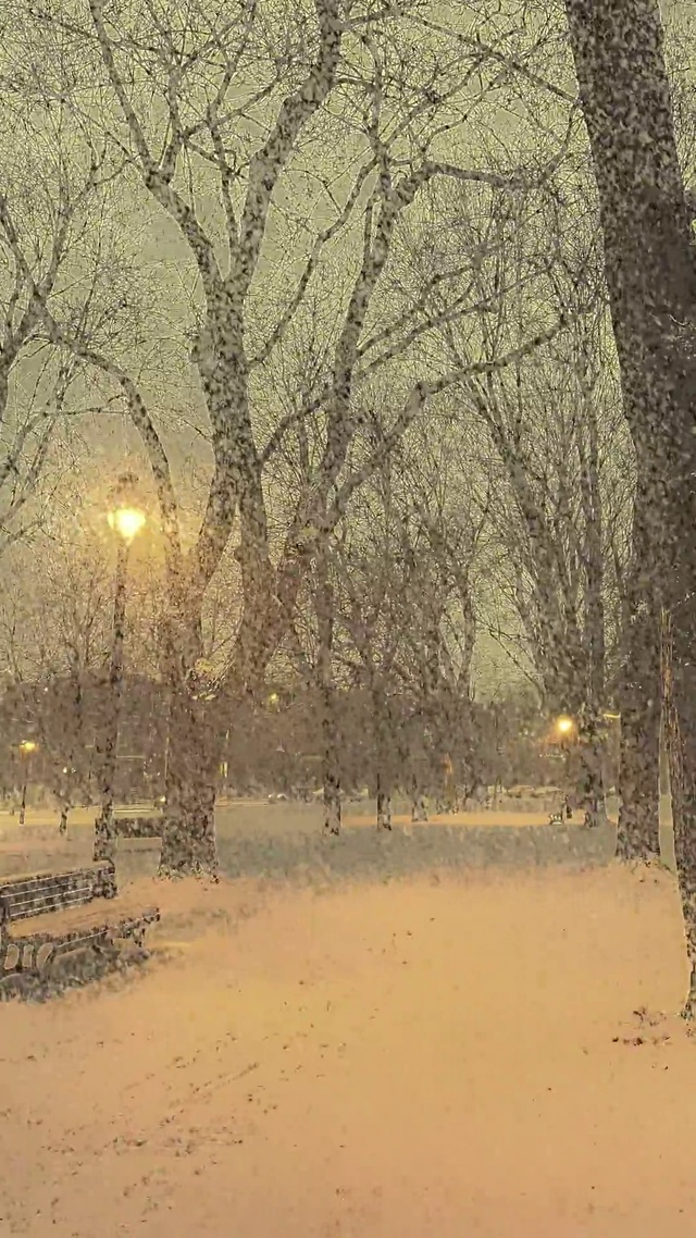 治愈唯美公园雪景