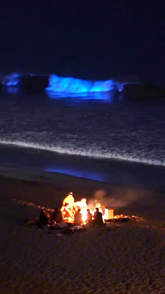 “荧光海边篝火”