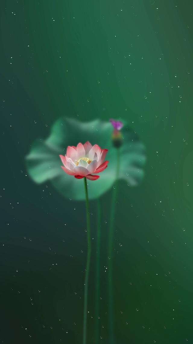 好美的壁纸，无声版