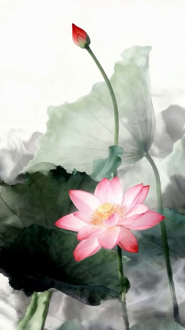 水墨画荷叶