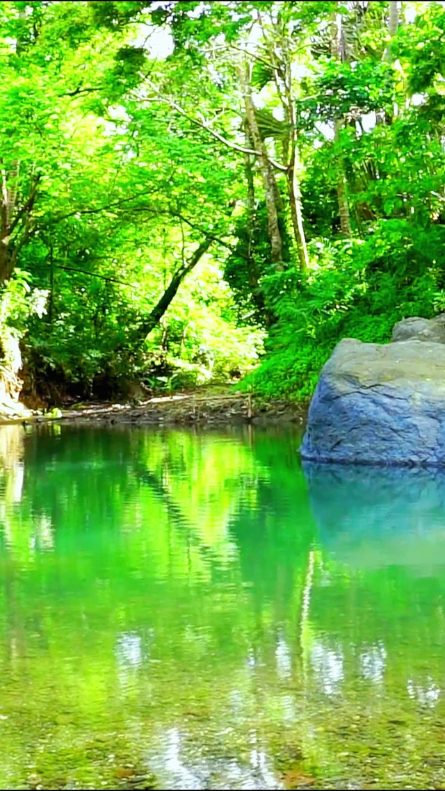 唯美治愈山水 4K