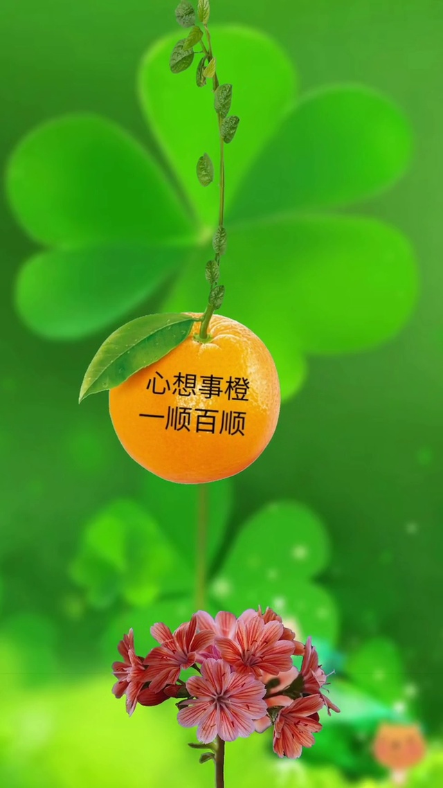 心想柿成