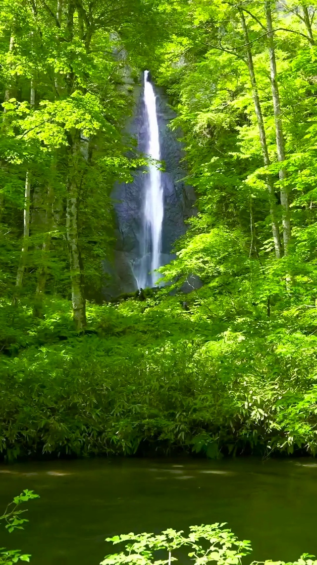 护眼绿林瀑布流水