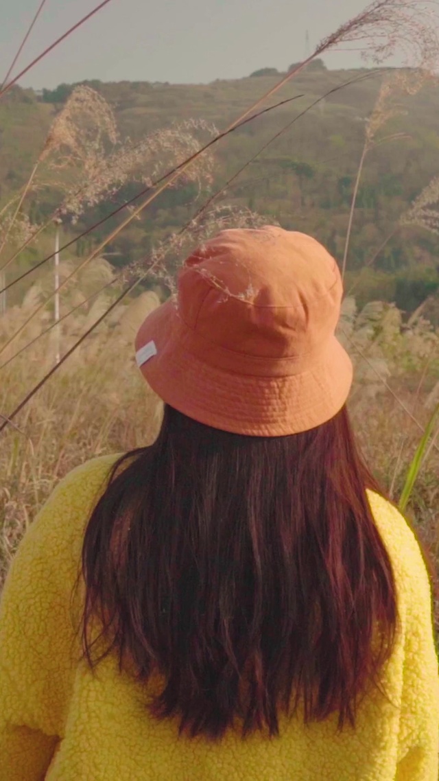  芦苇萧萧吹晚风