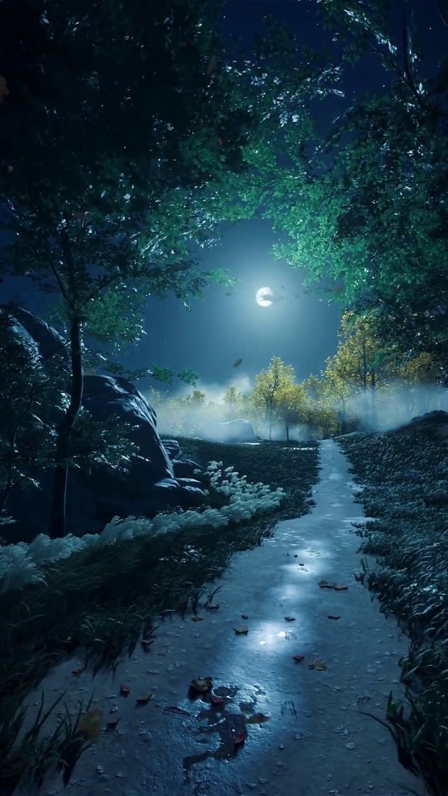 风起时你在想谁