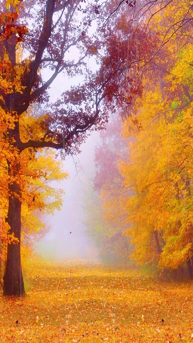 夏未尽，秋已至