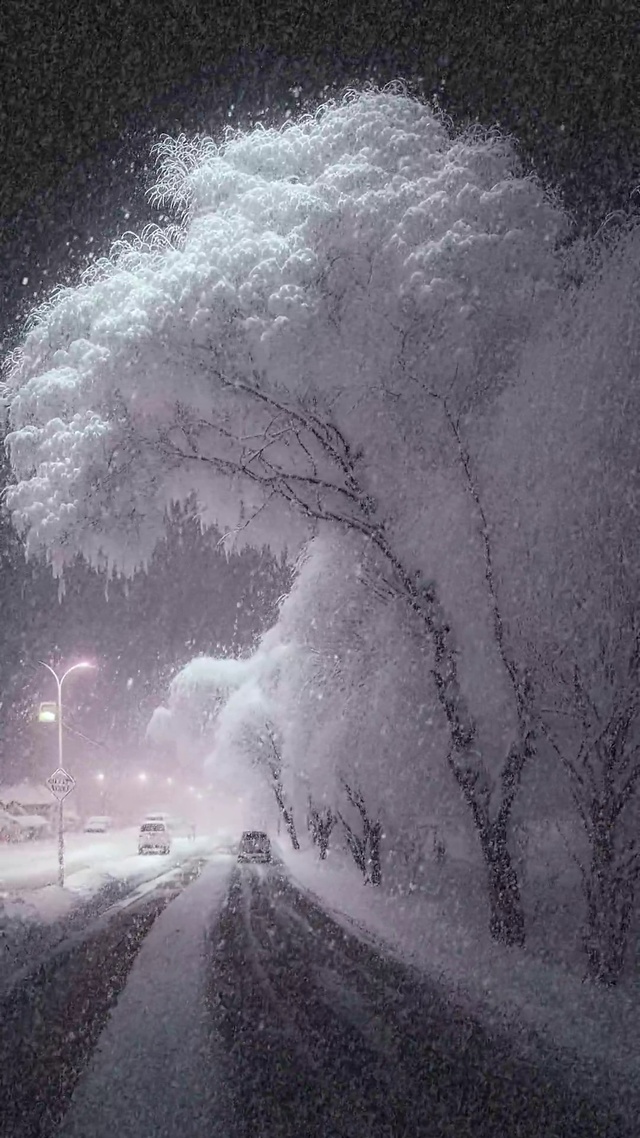 唯美童话白色雪景