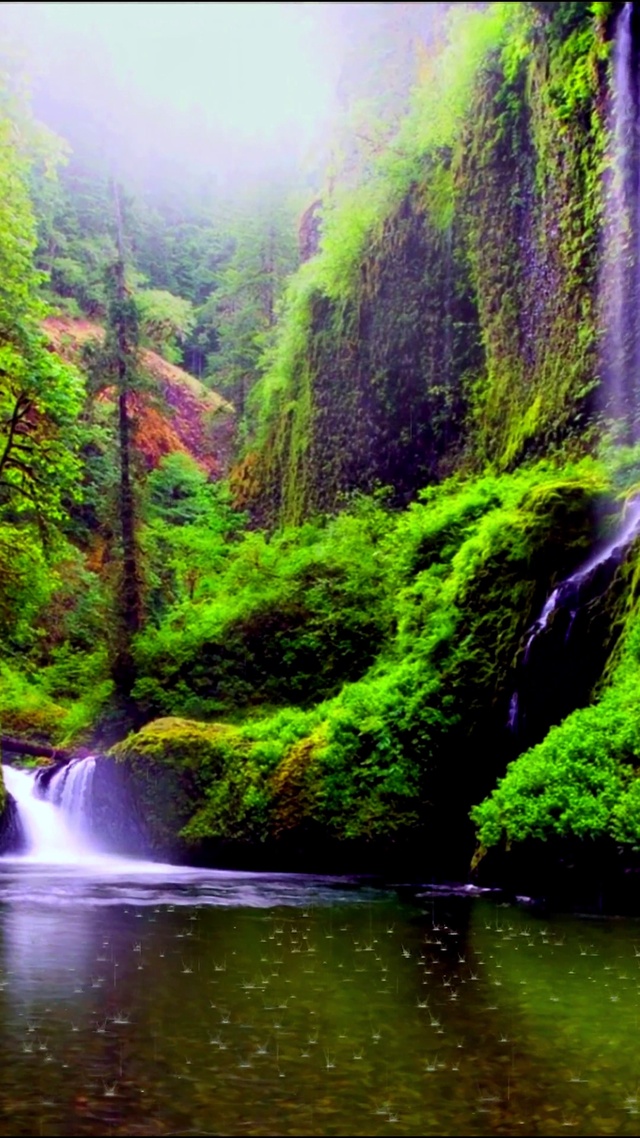 唯美山涧小雨4K