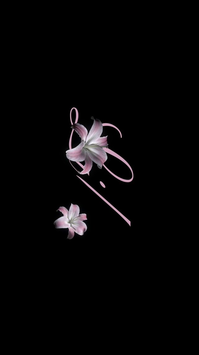 Black Lilies