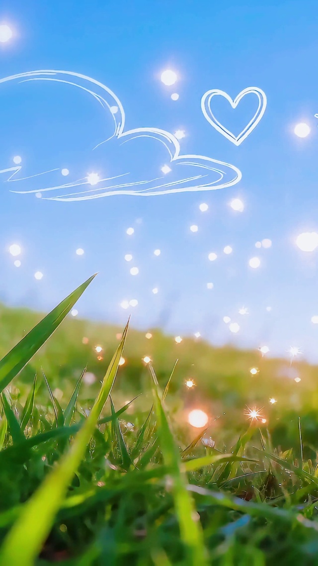 6月唯美夏日萤火虫