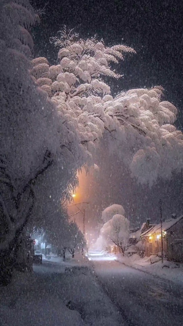 唯美雪景