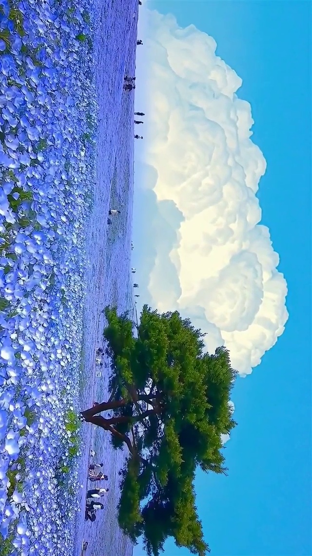唯美风景