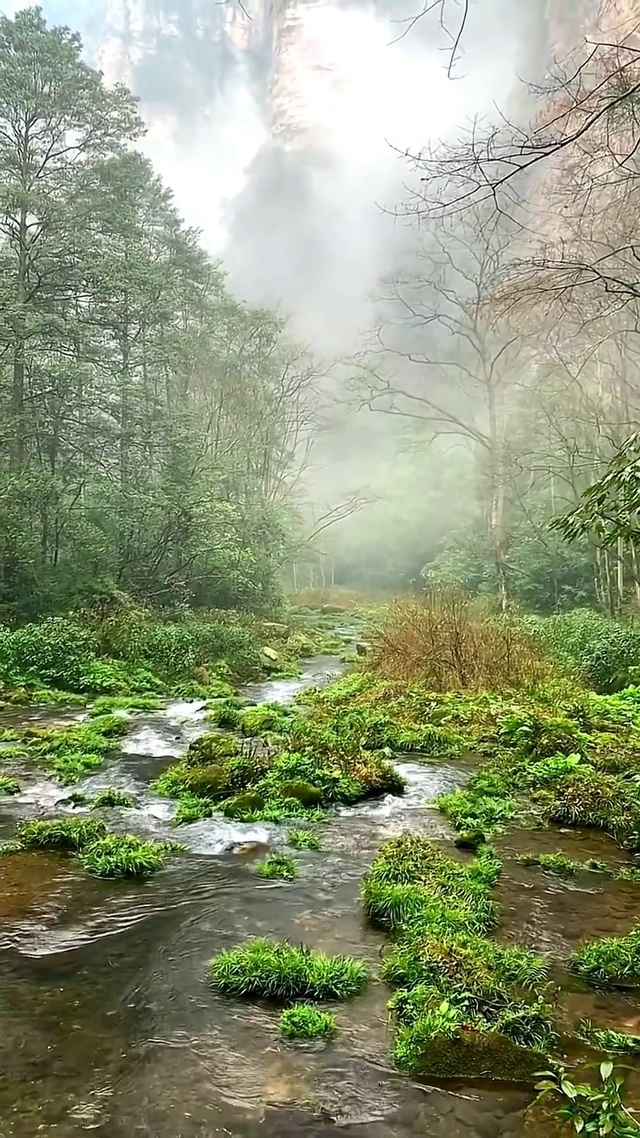 涓涓细流 人间仙境