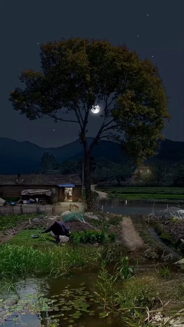 唯美乡村夜景3