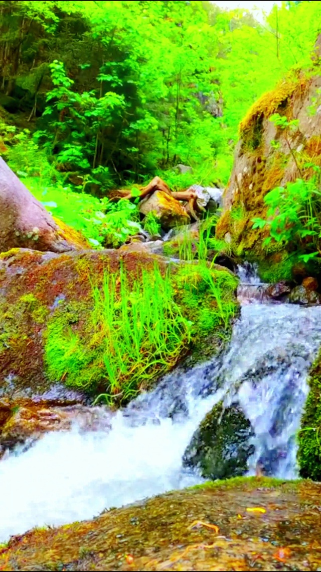 清新山间小溪 4K