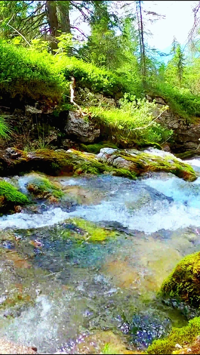 唯美山涧流水 4K