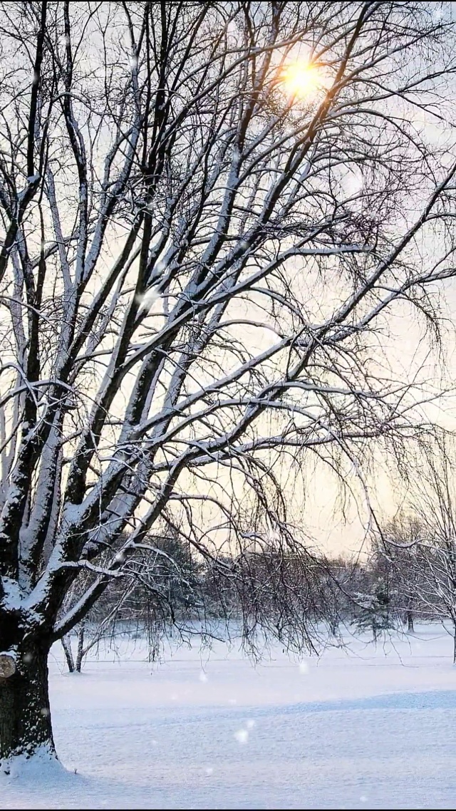 圣诞雪景