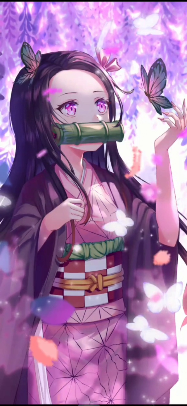 鬼灭之刃祢豆子樱花蝴蝶