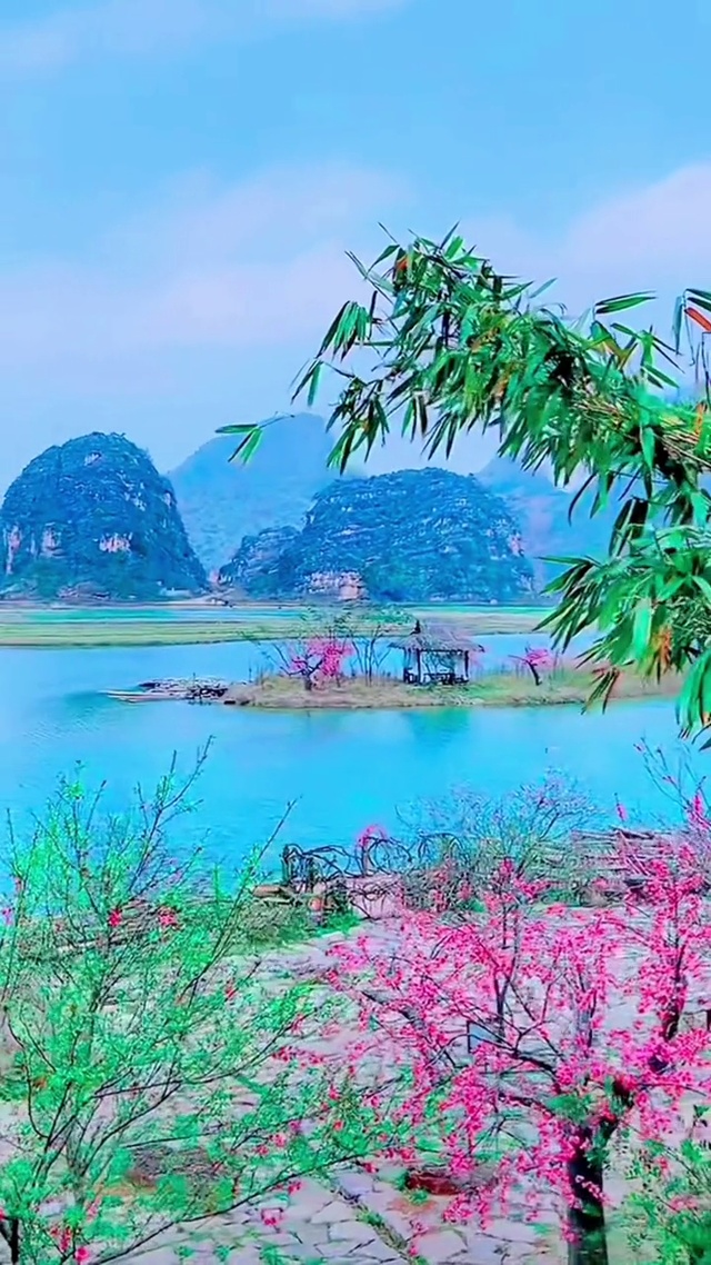 桃花依旧笑春风