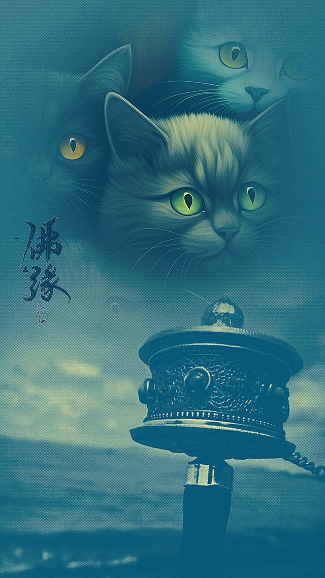 佛缘1