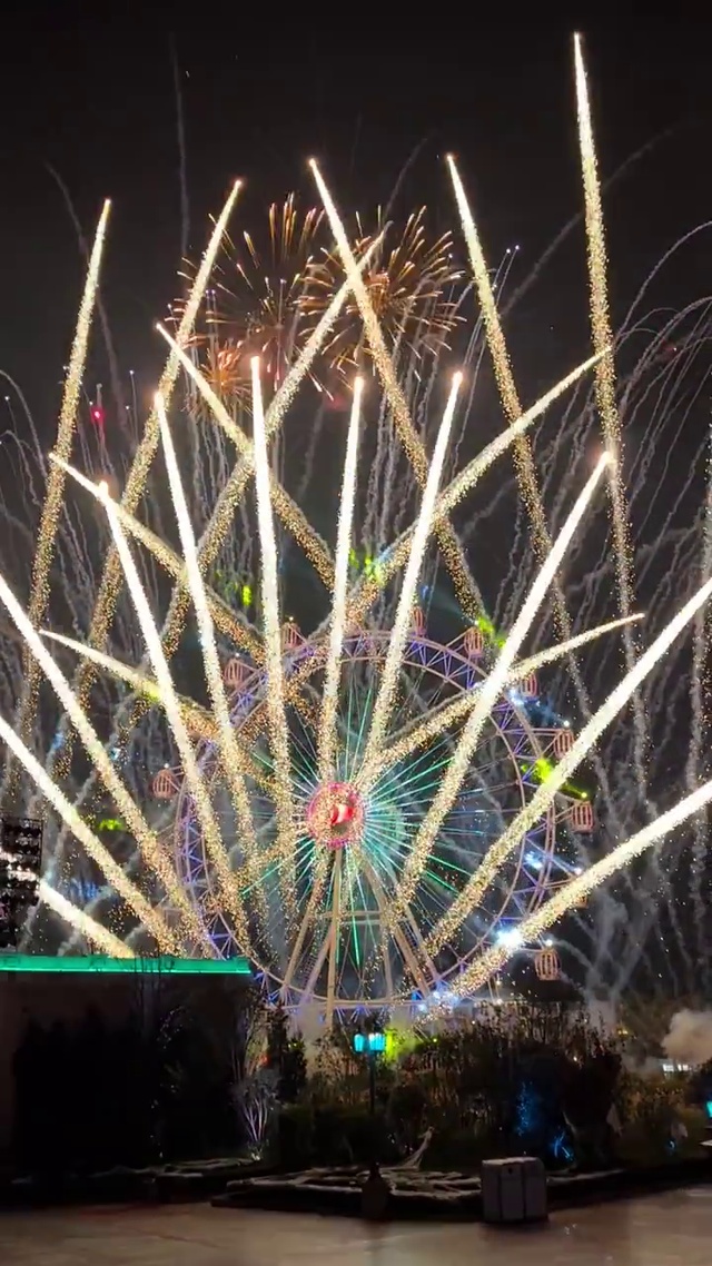 2024向烟花许个愿吧