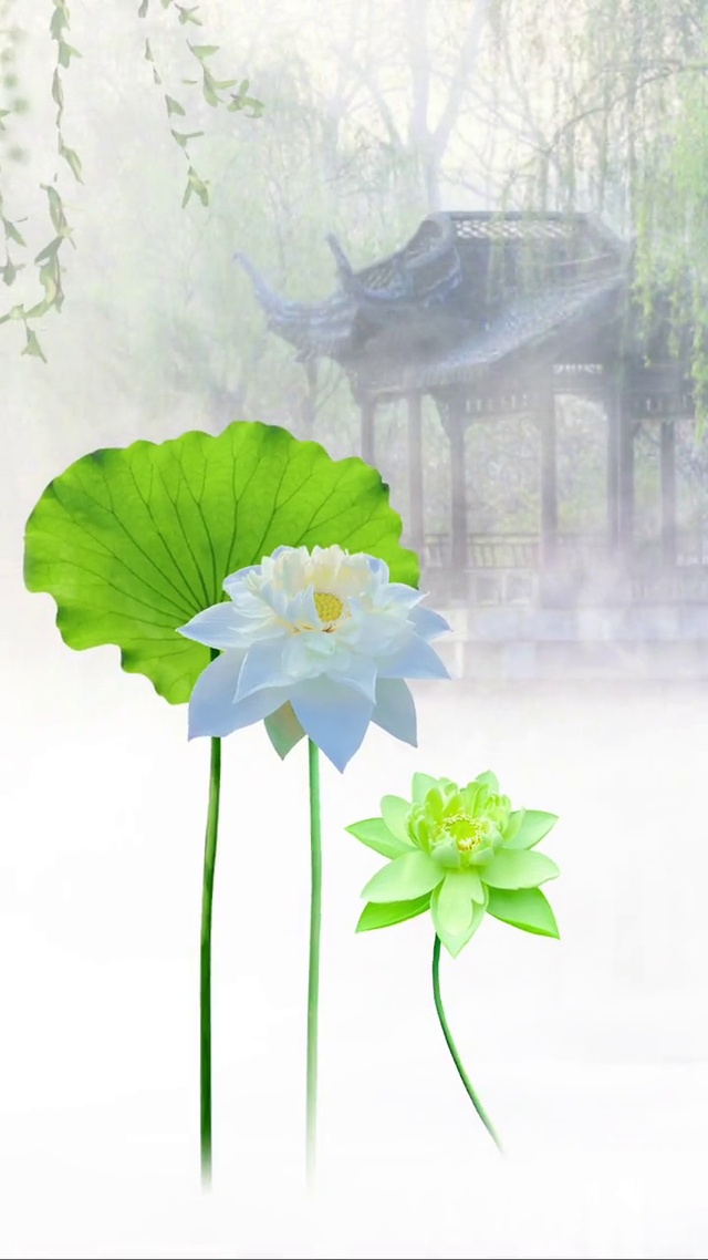 荷中仙