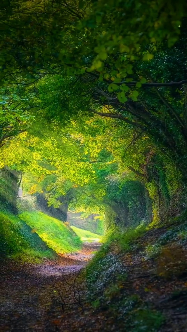 长路漫漫注定荆棘丛生