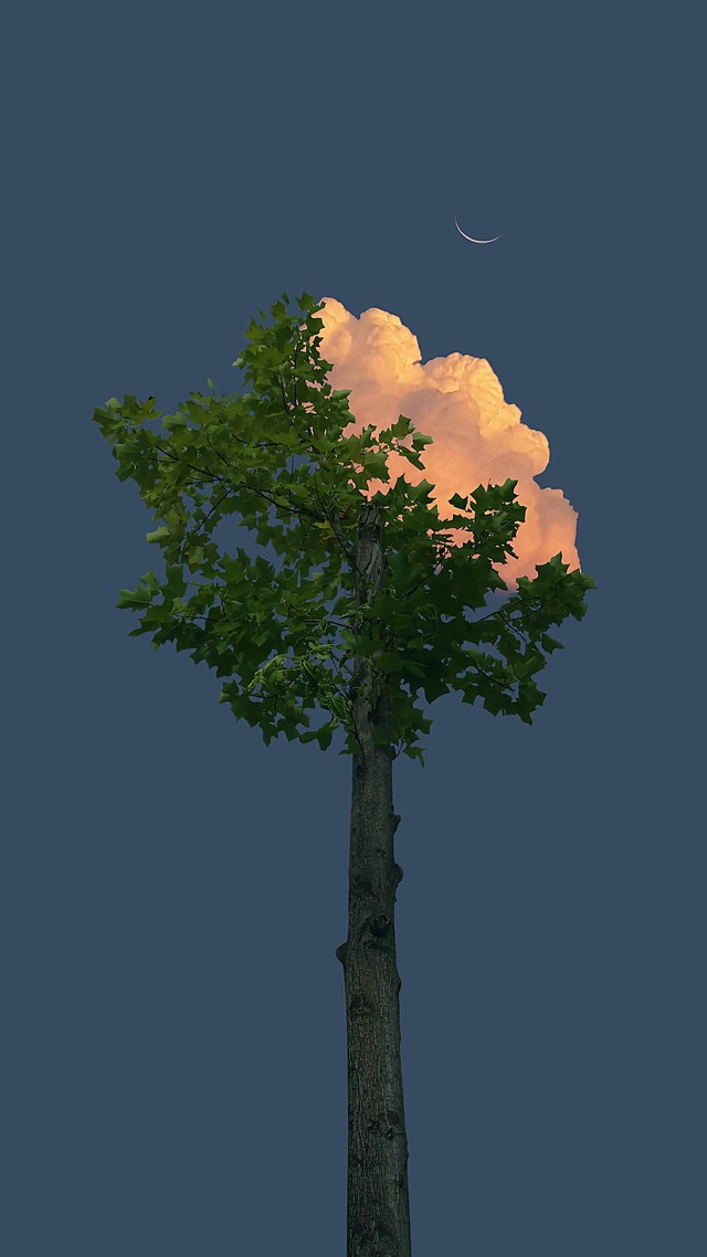 超清简洁夜景壁纸