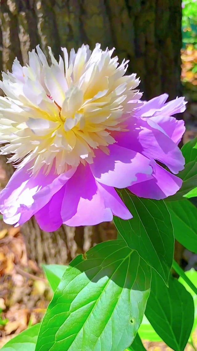 总有一种遇见，惊艳了时光