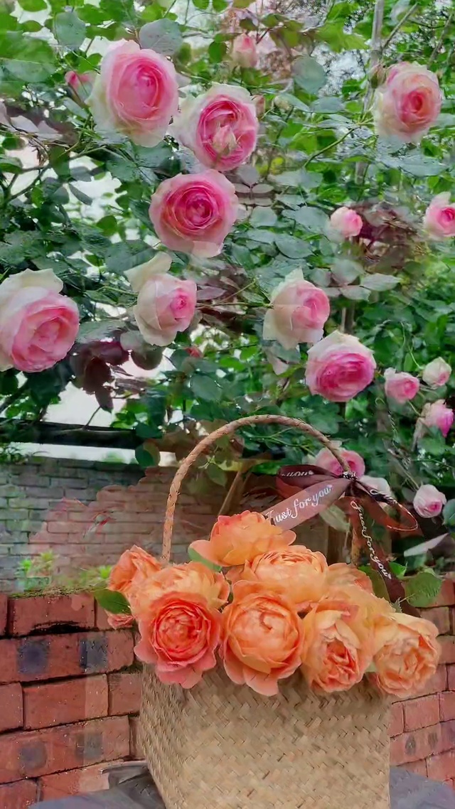 花草无言 但能生香