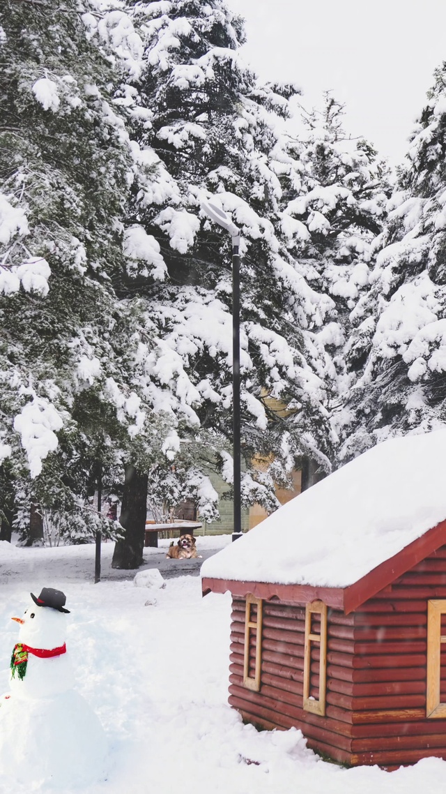 有年味儿的雪景