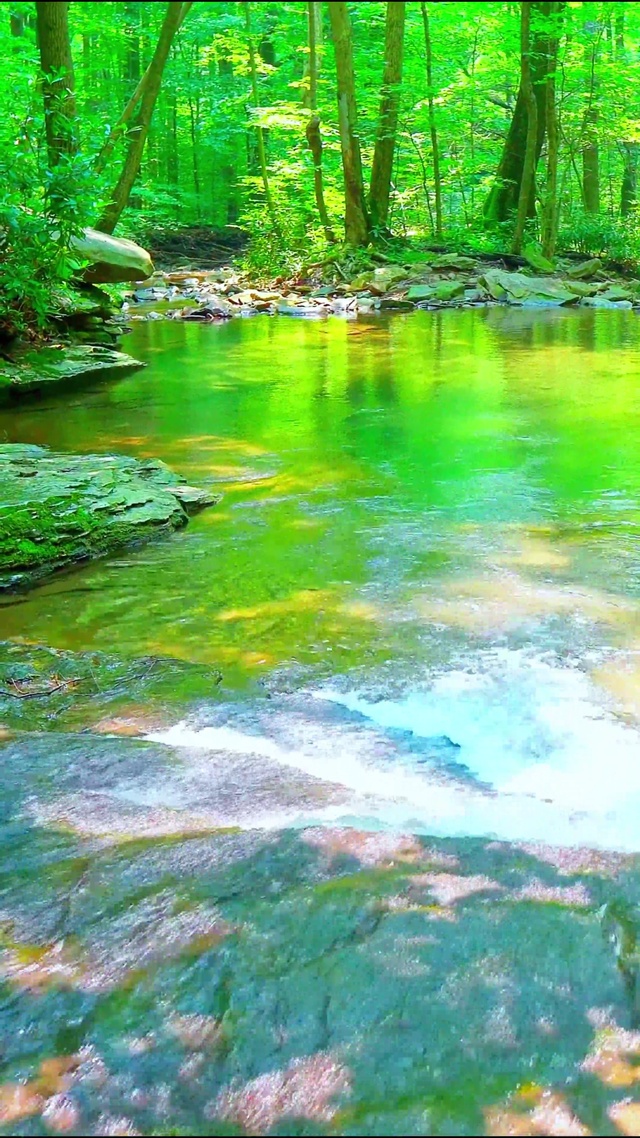 护眼治愈山间溪流 4K